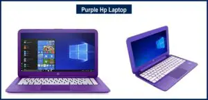 Purple Hp Laptop